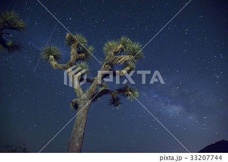 カリフォルニアの天の川 カリフォルニアの天の川 33207744