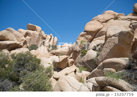 ジョシュアツリー国立公園の岩 ジョシュアツリー国立公園の岩 33207759