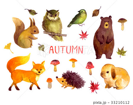 Animal Illustrations Stock Illustration