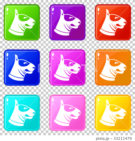 Bull terrier dog icons 9 set Bull terrier dog icons 9 set 33211479
