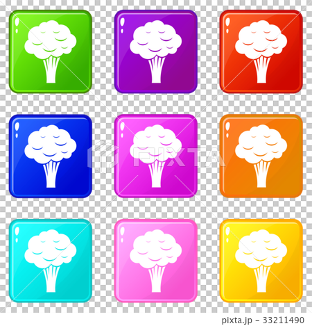 Broccoli icons 9 set Broccoli icons 9 set 33211490