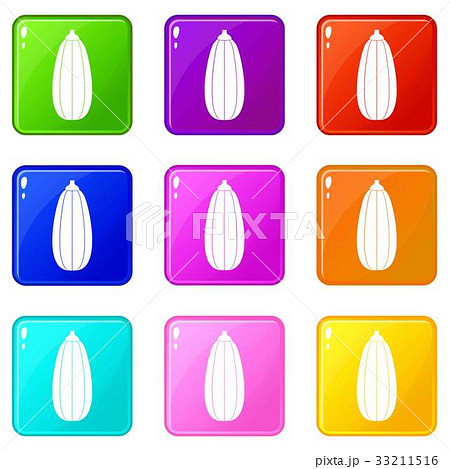 Zucchini vegetable icons 9 set 33211516
