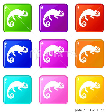 Chameleon icons 9 set Chameleon icons 9 set 33211643