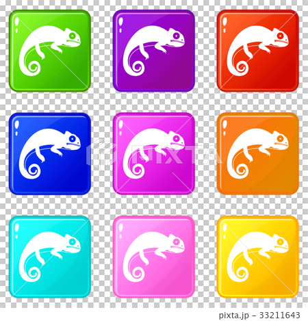 Chameleon icons 9 set Chameleon icons 9 set 33211643