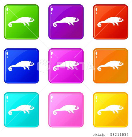 Chameleon icons 9 set 33211652