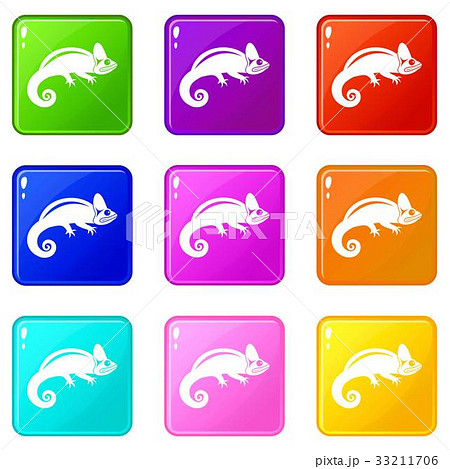 Chameleon icons 9 set 33211706