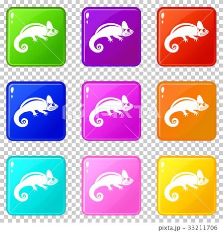 Chameleon icons 9 set 33211706