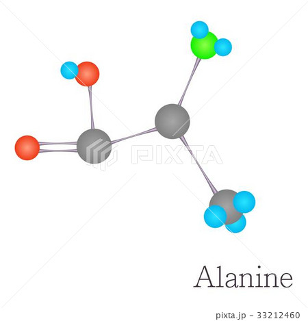 Alanine 3D molecule chemical science Alanine 3D molecule chemical science 33212460