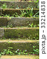 苔むした階段 33214838