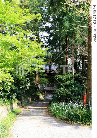新緑の木漏れ日に包まれた古寺 新緑の木漏れ日に包まれた古寺 33214844