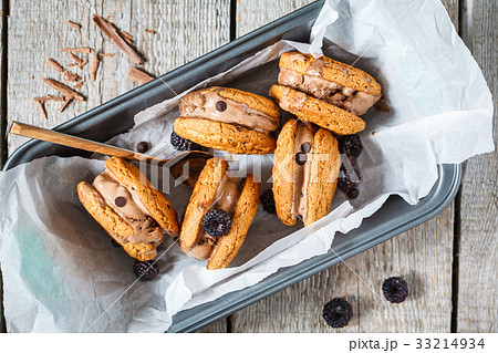 Homemade ice cream sandwich 33214934