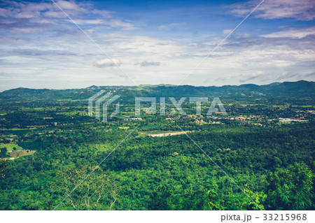 Colorful evergreen forest against beautiful nature Colorful evergreen forest against beautiful nature 33215968
