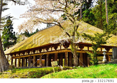 熊野神社 33217691