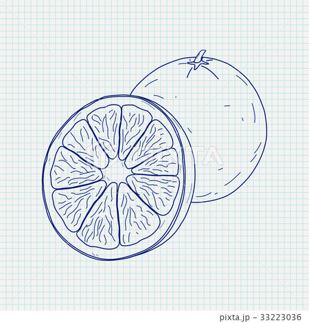 Orange. Sketch Orange. Sketch 33223036