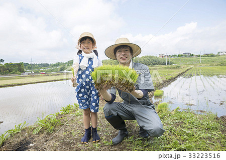 田植えイメージ　米農家 33223516
