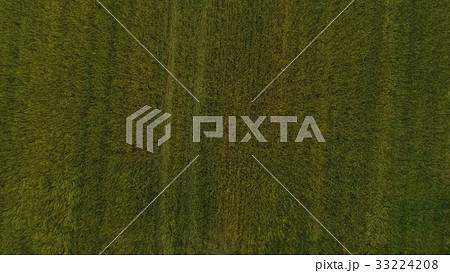 ドローンで上空から撮影した麦畑（北海道紋別市） 33224208