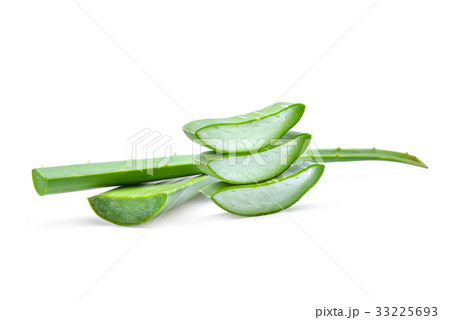 green aloe vera leaf, tropical herb isolated green aloe vera leaf, tropical herb isolated 33225693