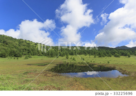 池の平湿原 33225696