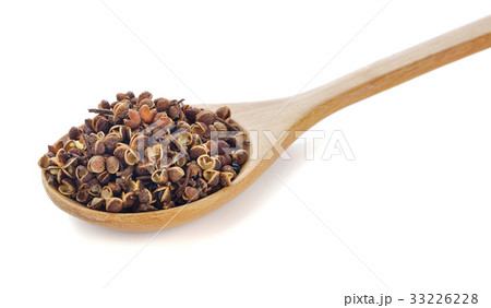 Zanthozylum limonella Alston on white background 33226228