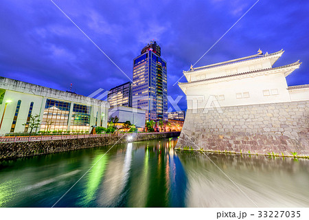 Shizuoka City Castle and Cityscape 33227035