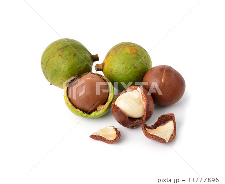 macadamia nuts on white background macadamia nuts on white background 33227896