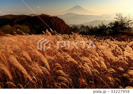 大菩薩連嶺・大蔵高丸からの日没と富士山 大菩薩連嶺・大蔵高丸からの日没と富士山 33227956