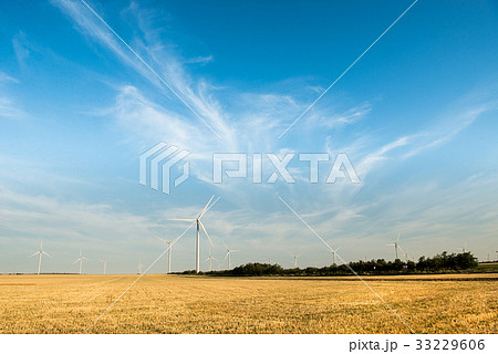 Wind turbine in a yellow flower field blue sky 33229606