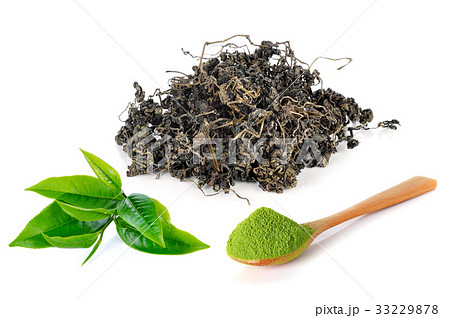 green tea leaf and powder green tea. green tea leaf and powder green tea. 33229878