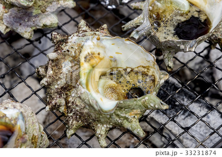 さざえ　つぼ焼き 33231874