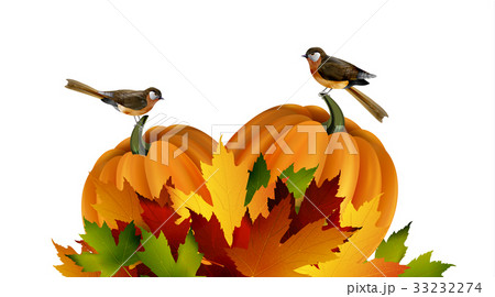 Thanksgiving vector autumn composition 33232274