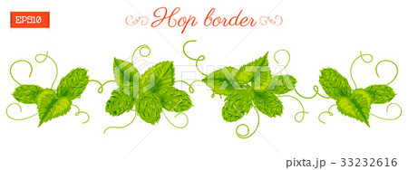 Border of leaves and cones of hops plant Border of leaves and cones of hops plant 33232616