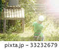 Boy climbs a tree 33232679