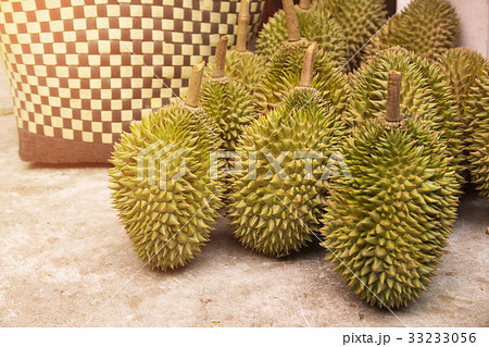durian fruit after harvest orchard in thailand 33233056