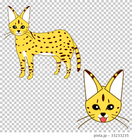 サーバルキャットのイラスト素材 33233235 Pixta