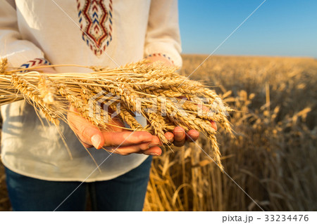 farming, environment, culture concept. close up of 33234476