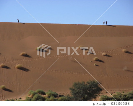 ナミブ砂漠 ナミブ砂漠 33236588