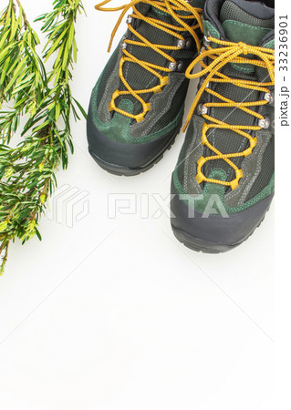 トレッキングシューズと緑葉 トレッキングシューズと緑葉 33236901
