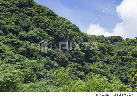 仙巌園 千尋巌 仙巌園 千尋巌 33236917