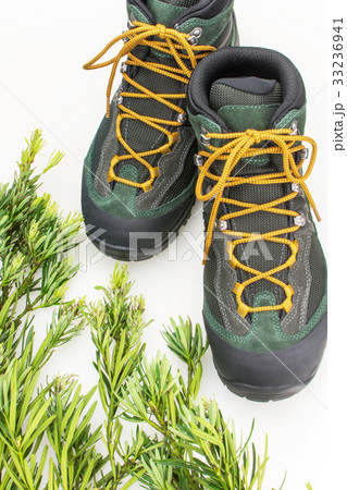 トレッキングシューズと緑葉　 33236941