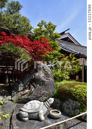 松尾大社 33237696