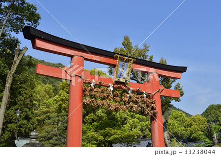 松尾大社　大鳥居 33238044