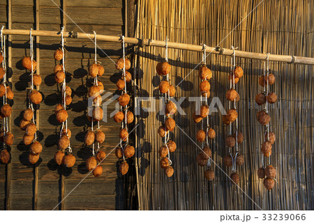 Dry Japanese persimmons Dry Japanese persimmons 33239066