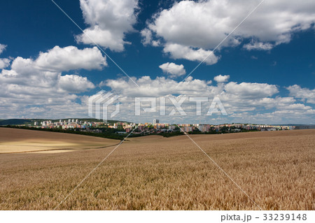 View of housing estates, in foreground field 33239148