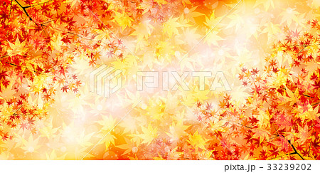 紅葉 秋 風景 背景 のイラスト素材