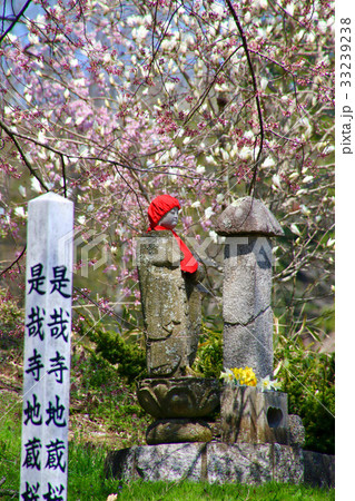 是哉寺地蔵桜のお地蔵さん（田村市） 33239238