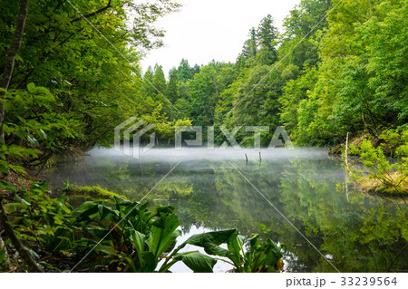 津南の龍ヶ窪 33239564