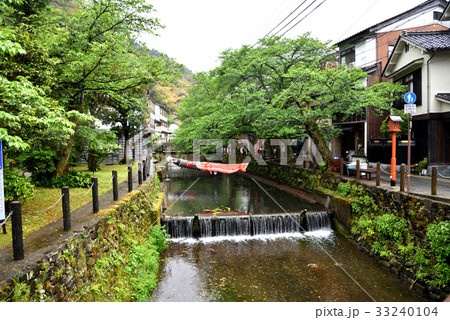 城之崎温泉、大谿川に泳ぐ鯉のぼり 33240104