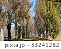 並木道 33241282
