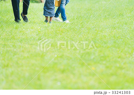 公園で遊ぶ家族 33241303