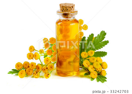 essential tansy oil with flowers and leaf isolated 33242703